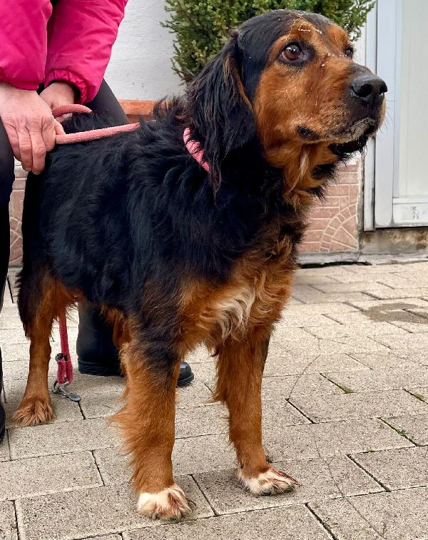 Jack  Alla Ricerca Di  Una Casa